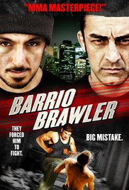 American Brawler 2013 720p Hindi Eng Hdmovie